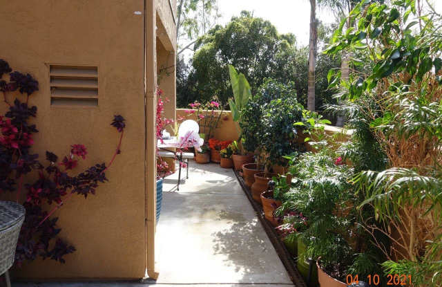 15363 Maturin Drive photos photos