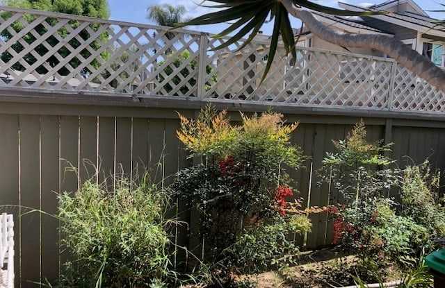 2528 Alder Ln. Gallery 4