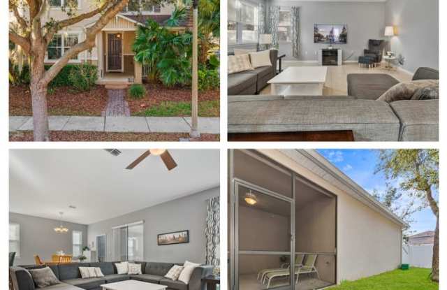 8110 tropical kingbird st photos photos