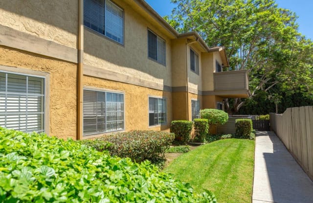 Elán Village Court Apartment Homes Gallery 3