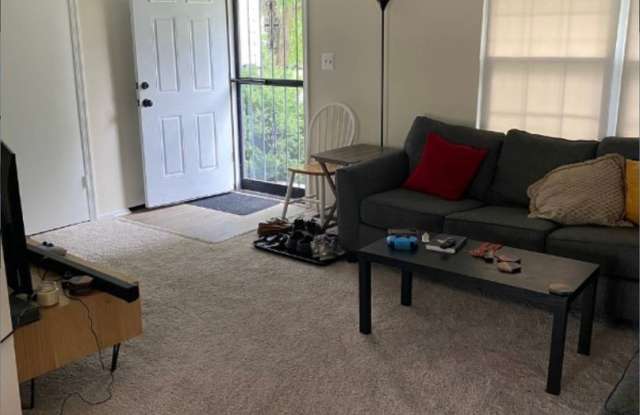 7726 Acrocomia Dr Gallery 3
