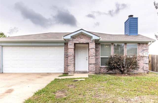 313 Lake Wichita Drive - 313 Lake Wichita Drive, Wylie, TX 75098