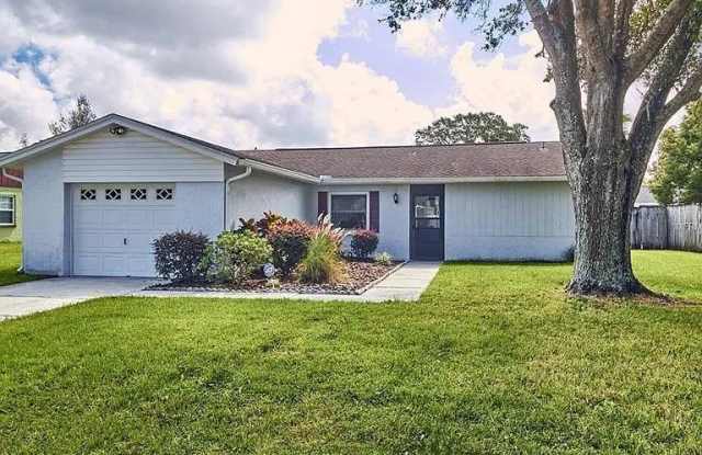 4933 Hi Vista Cir - 4933 Hi Vista Circle, Citrus Park, FL 33625