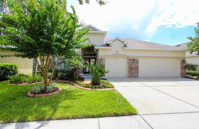 16412 BRIDGEWALK DRIVE - 16412 Bridgewalk Drive, Fish Hawk, FL 33547