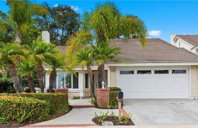 25141 Danabirch - 25141 Danabirch, Dana Point, CA 92629