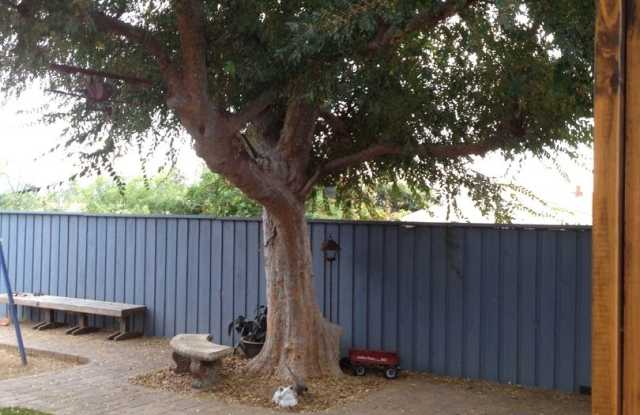 10109 Corkwood Avenue Gallery 4