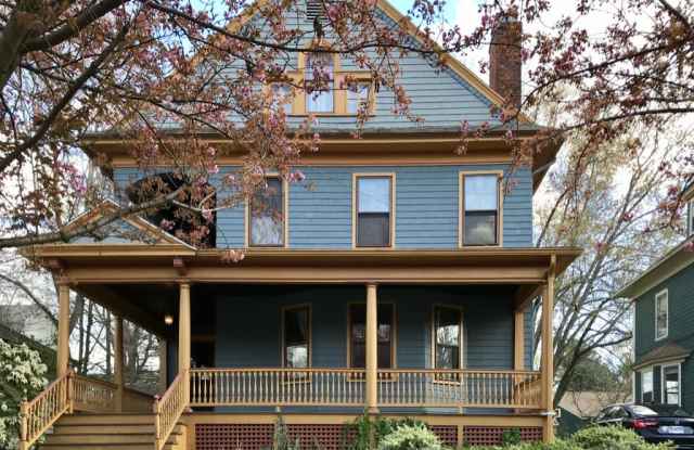 81 Fern Street photos photos