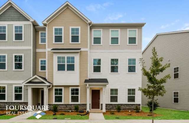 1015 Tea Time Trail - 1015 Tea Time Trail, Durham County, NC 27560