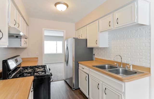 2067 103rd Ave NW - 1 - 2067 103rd Avenue Northwest, Coon Rapids, MN 55433
