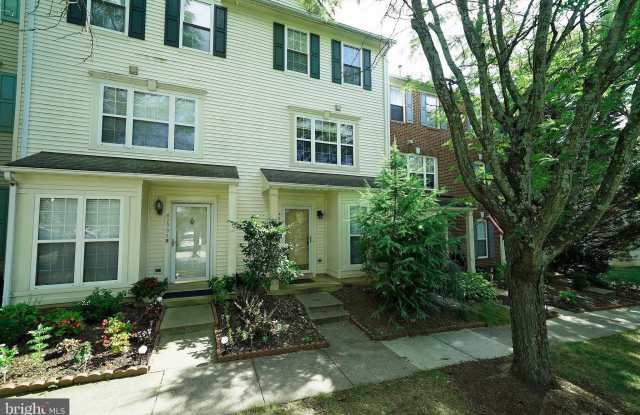 42995 ASTELL STREET - 42995 Astell Street, South Riding, VA 20152