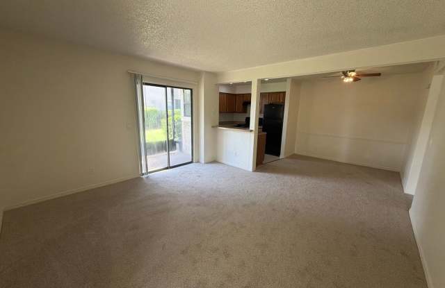 1 bedroom 1 bath in Winter Park, FL! Gallery 4