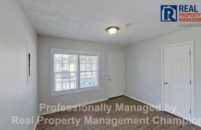 Recently Renovated 3 BD/1 BA Home Next to Castle Street Art District Gallery 4