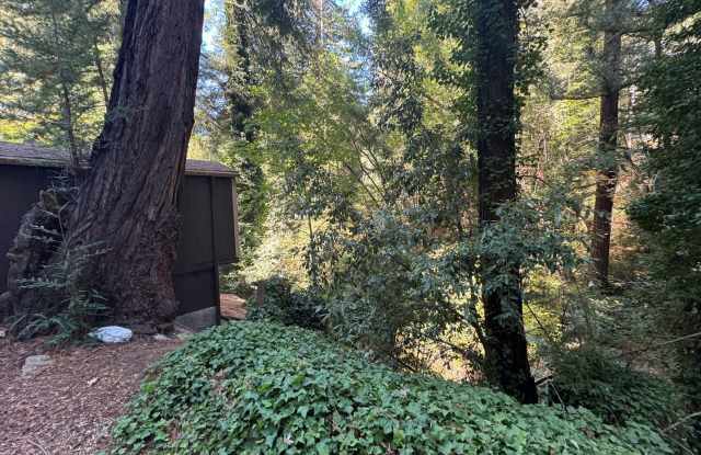 Cozy Cabin near downtown Boulder Creek Gallery 4
