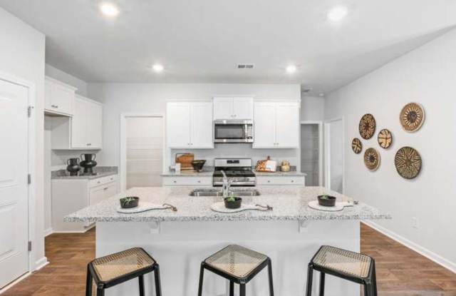 Welcome to 255 Sweet Cherry Lane – Summerville, SC photos photos