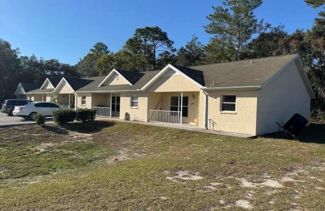 10423 Chalmer Street - 10423 Chalmer Street, Spring Hill, FL 34608