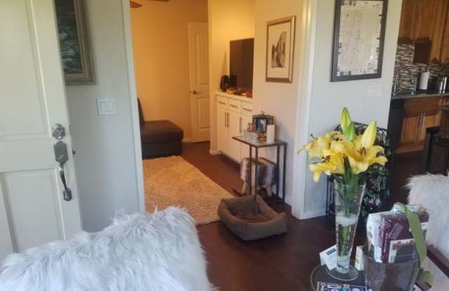 308 Volney Ln Gallery 3