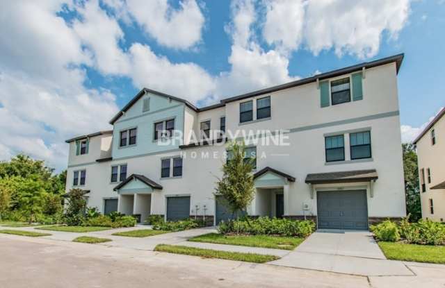 8664 Candida Lane - 8664 Candida Lane, Port Richey, FL 34668