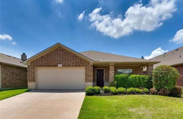 3401 Buckthorn Lane - 3401 Buckthorn Lane, Denton, TX 76226