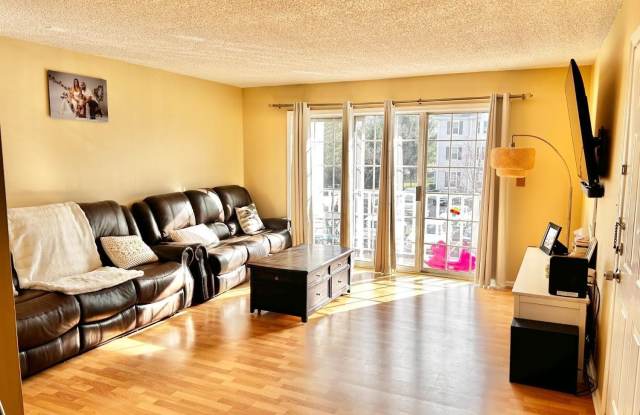 465 Northam Drive photos photos