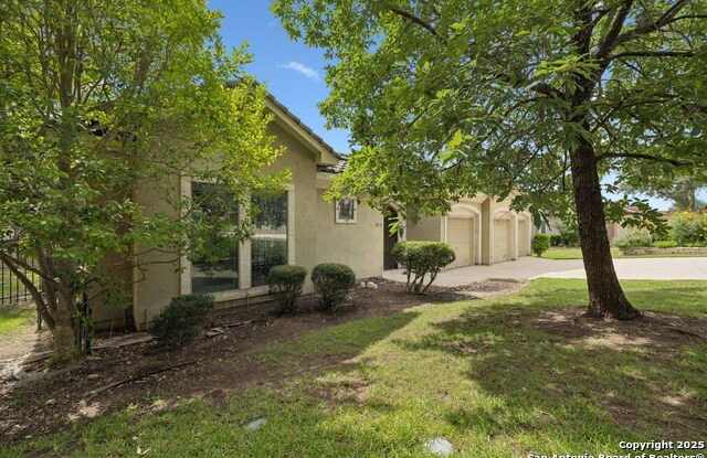 238 Verbena photos photos