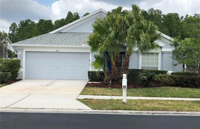 1811 RENSSELAER DRIVE - 1811 Rensselaer Drive, Wesley Chapel, FL 33543
