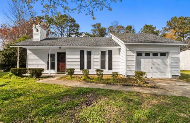 Welcome to Springdale Drive! photos photos