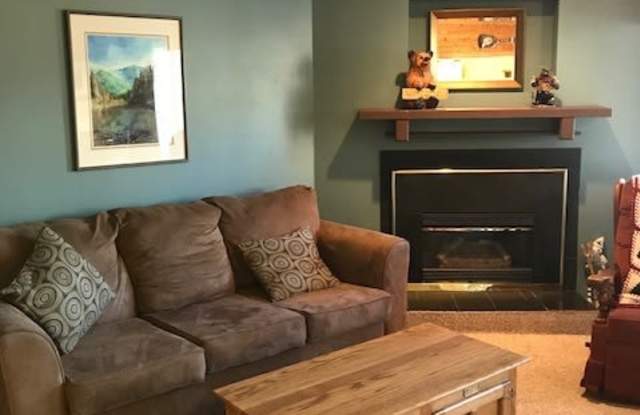 Lake Haus Condo - WINTER RENTAL-1 Bedroom/1 Bath Unit w/Washer  Dryer photos photos