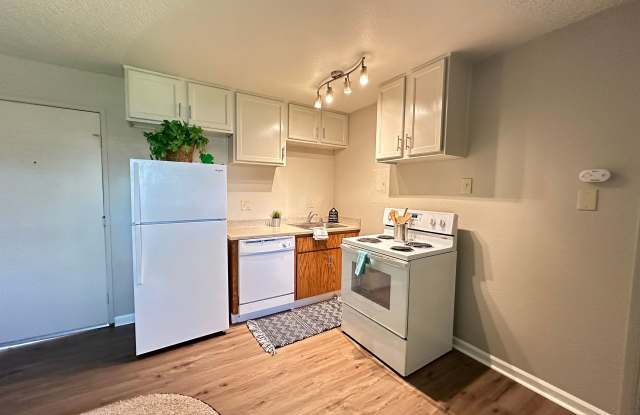 Boutique Apartments in Boulevard Park, Includes Gated, Covered Parking! photos photos