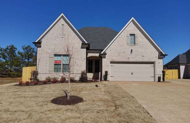 315 Chesnut Ridge Cv - 315 Chestnut Ridge Cv, Oakland, TN 38060