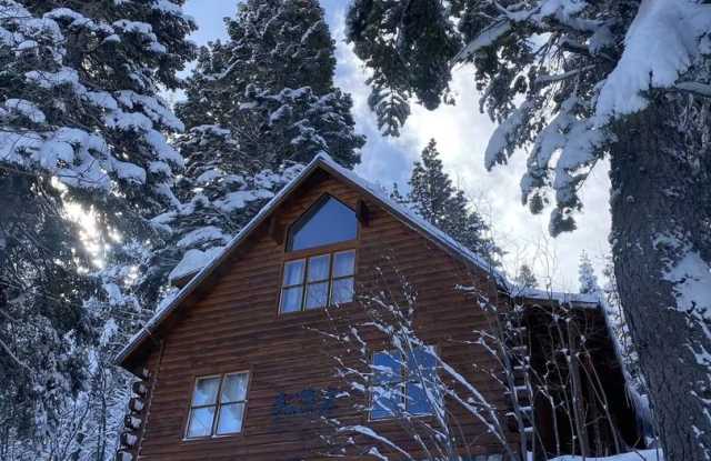 Charming Tahoe Donner Log Cabin with Hot Tub photos photos