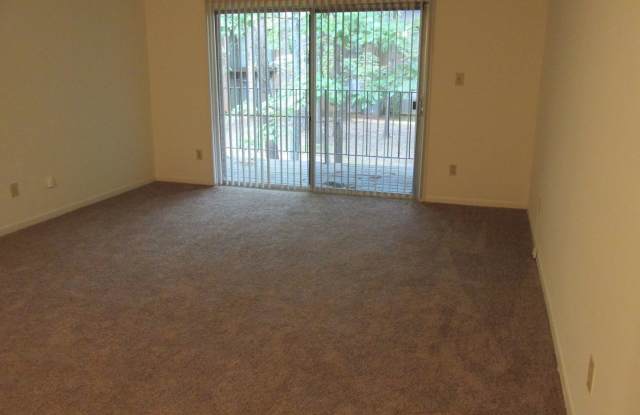 Large 2 bedroom! *** Move in Special*** Gallery 4