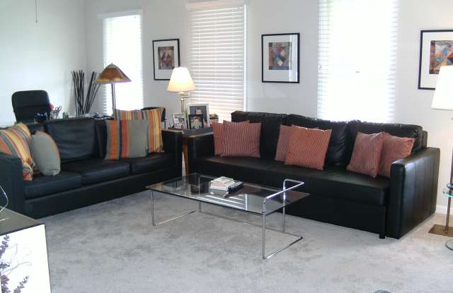 316 Washington Boulevard Gallery 3