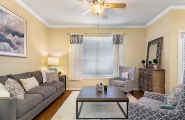 8833 N FM 620 Gallery 2