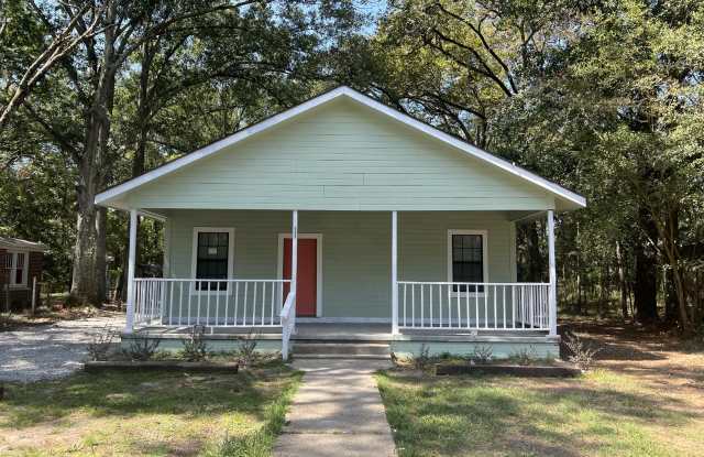 111 Montague Street - 111 Montague Street, Hattiesburg, MS 39401