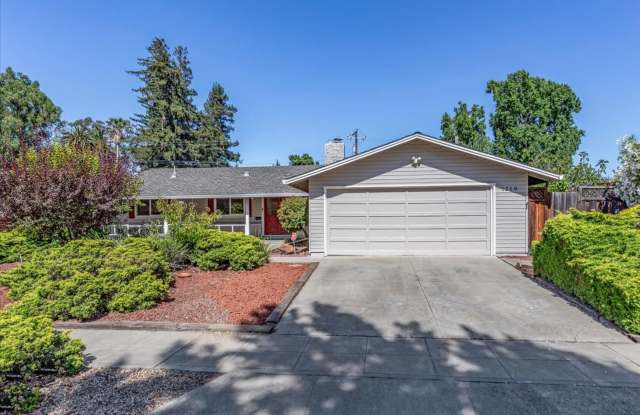 Terrific Sunnyvale Home photos photos