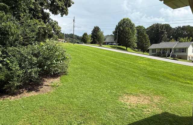 3 bed 2 bath + bonus room & 2 car garage- Jonesborough Gallery 3