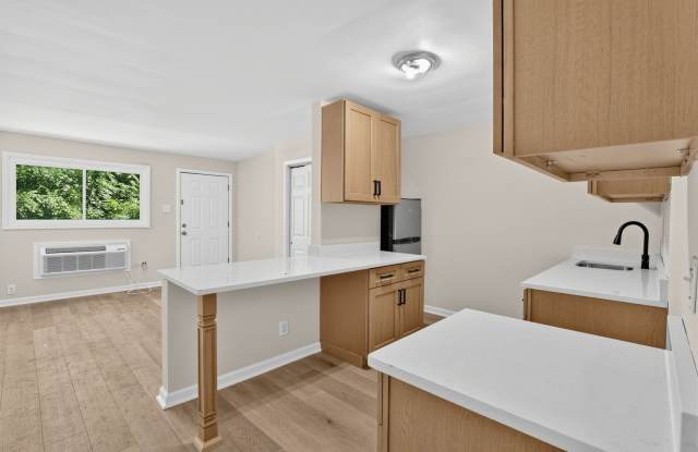 Renovated 2BR in Runnemede | Parking + W/D Hookups Gallery 3