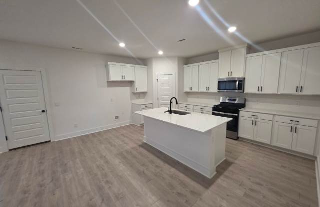 Newer 3 bedroom 2 bath home Gallery 4
