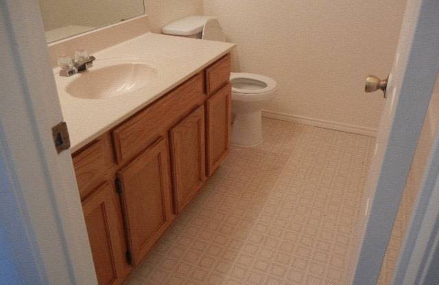 3504 Rainforest photos photos