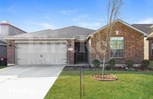 128 Collin Street - 128 Collin Street, Anna, TX 75409