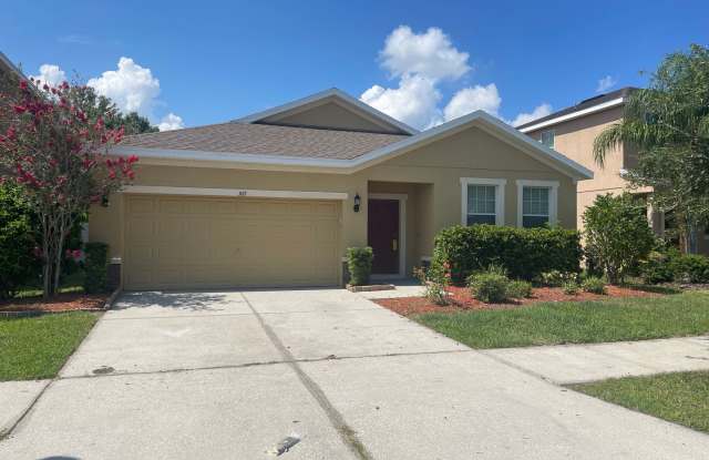 507 Corbett Bluff Drive - 507 Corbett Bluff Drive, Ruskin, FL 33570