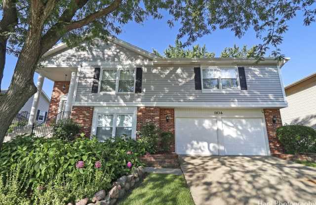 1104 Marlowe Place - 1104 Marlowe Place, Vernon Hills, IL 60061