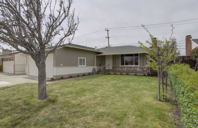 3 Bed/ 2 bath San Mateo home with private backyard and patio area. YouTube tour!! photos photos
