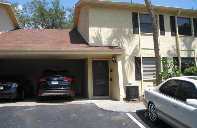 7613 Pasa Dobles Ct - 7613 Pasa Dobles Ct, Town 'n' Country, FL 33615