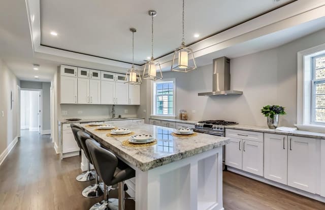 5050 North Ridgeway Avenue - 5050 North Ridgeway Avenue, Chicago, IL 60625