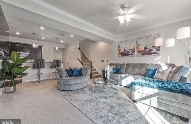 42213 PIEBALD Square Gallery 3