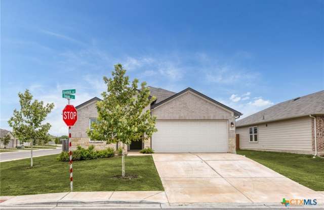 1421 Havelock Way - 1421 Havelock Way, Lockhart, TX 78644