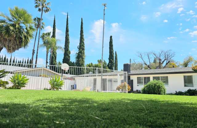 20811 Tiara photos photos