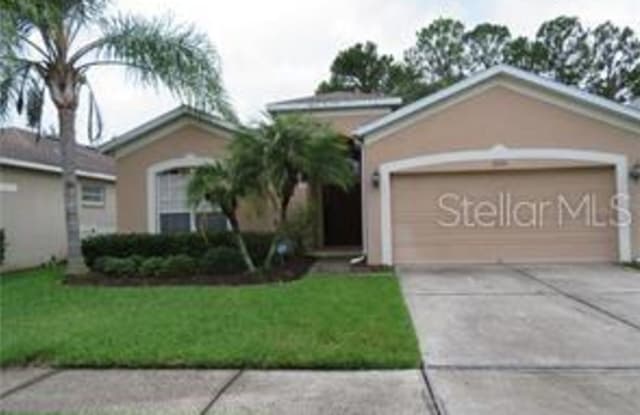 19144 MEADOW PINE DRIVE - 19144 Meadow Pine Drive, Tampa, FL 33647