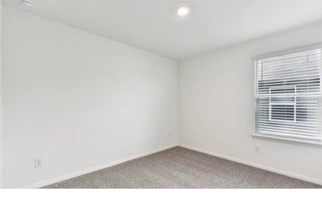 569 Globe Mallow Circle Gallery 3